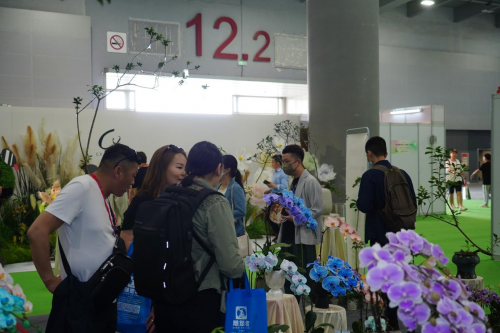 2024花城“新秀花事”亮點搶先看！和廣州國際花藝節(jié)一起解鎖“花經濟”財富密碼(圖4)